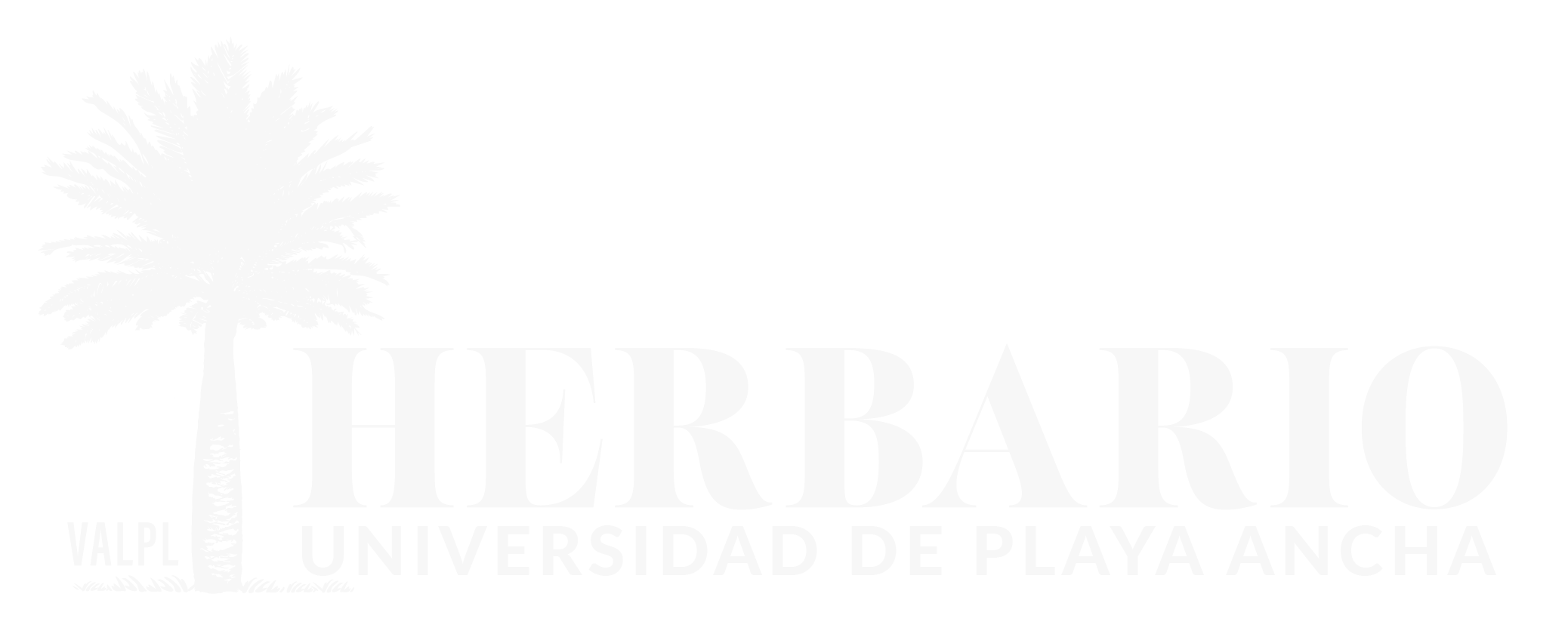 Flora de Valparaíso